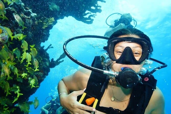 MUSA Cancun: Submerged Art & Reef Adventure