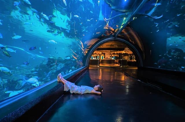 Aquaria and AR Trick Eye Museum Tickets in Phuket