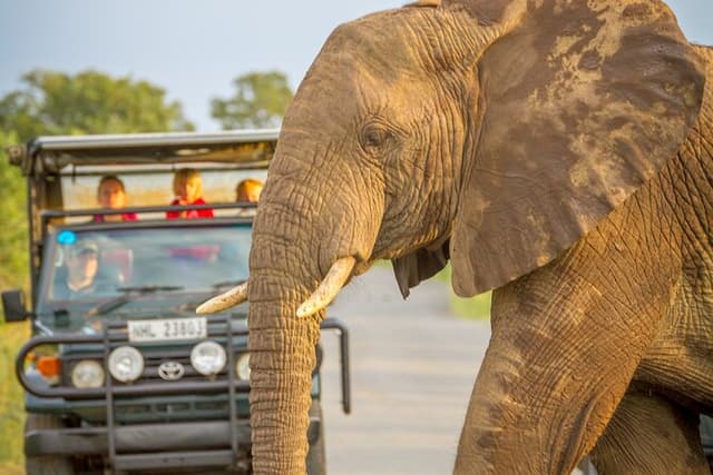 Hluhluwe-iMfolozi private boutique full day safari