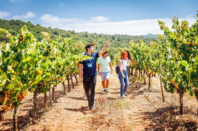 Top-Rated Arrabida & Sesimbra Tours