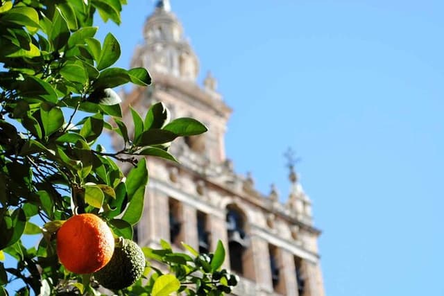Seville Easy in two experiences: historic center and Triana