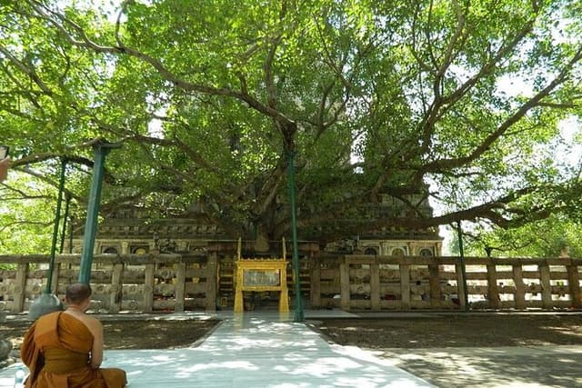 Full day Private Guided Tour of Sarnath from Varanasi