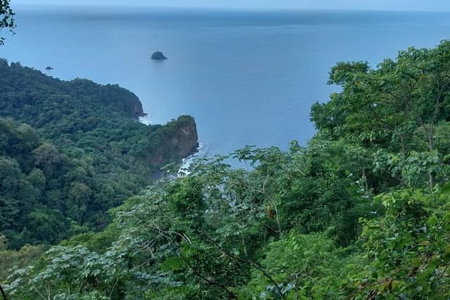 Wild Immersion: Hiking in the Heart of the Rainforest