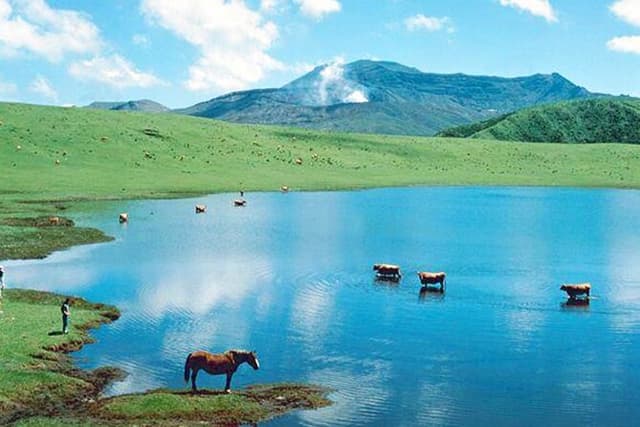 Kyushu: Aso Vocano, Grassland,Onsen and Aso shrine 1-Day Tour