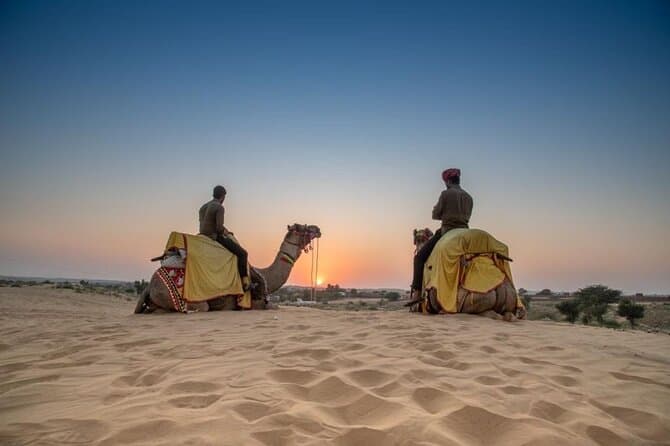 Unforgettable Osian Desert Camel Safari Adventures