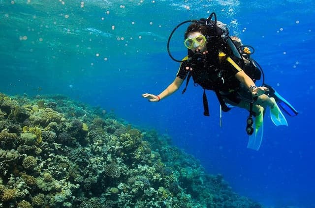 Tiran Island Snorkel , Dive & Lunch Sea Trip - Sharm El Sheikh