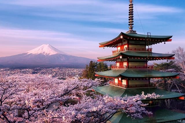 Mt.Fuji Private Tour With Guide (From Tokyo)