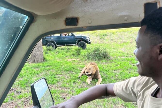 Mikumi Train Safari: From Dar es Salaam to the Wild