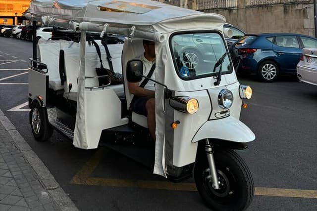 2 Hour Private Panoramic Tuk Tuk Tour