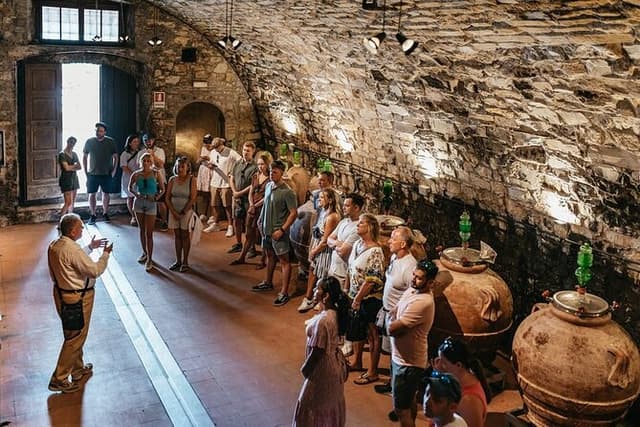 Small group Tuscan Wineries, Olive Oil & Gourmet Lunch or Dinner