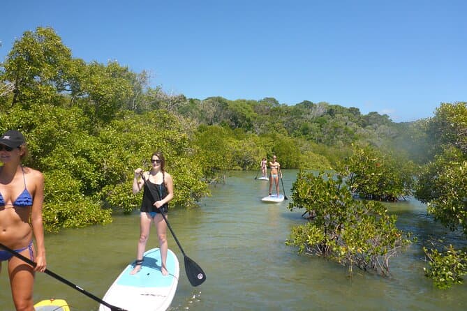 Noosa River SUP Tour