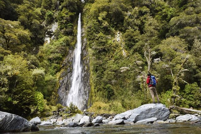 Wanaka to Franz Josef Small-Group Tour (One Way) Includes Lunch