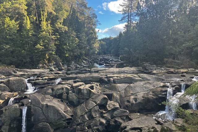 Scenic Short Hike Tour - McLaren Falls and Puketoki Reserve