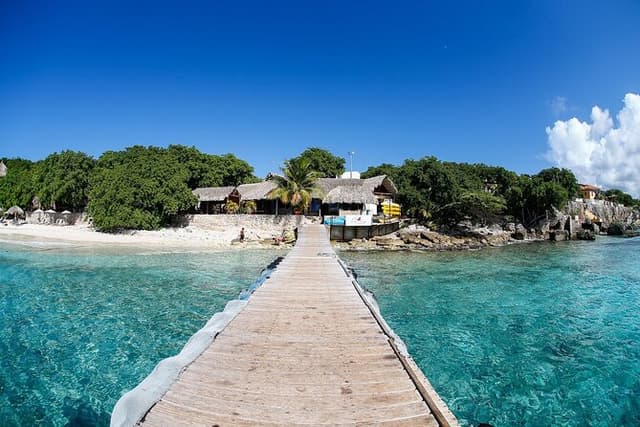 The Blue Experience: Snorkeling with Turtles & Beach Hopping tour