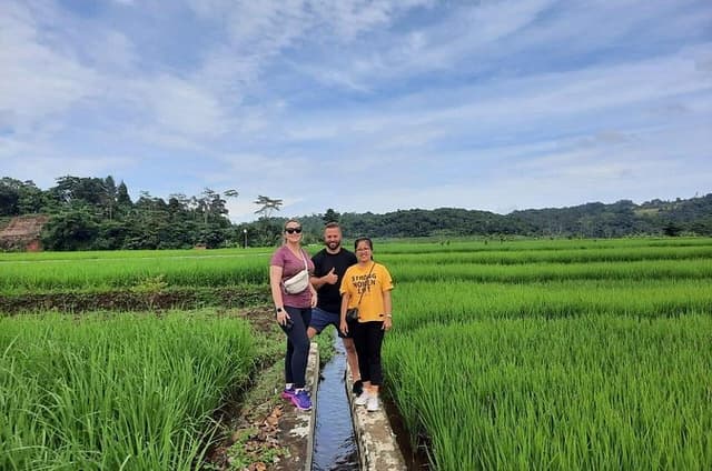 Full Day Cultural Bogor Adventure in Waterfall and Rice field