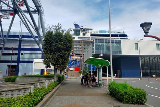 4/5/6 Hours Private Osaka Tour Designed for Cruise Passengers