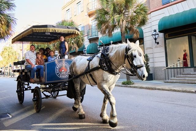 Charleston Horse-Drawn Carriage Tour: Explore Historic Charleston