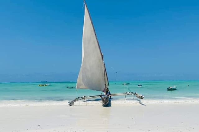 Jozani, Salaam Cave and Mtende Beach