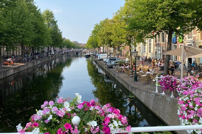 Best Lelystad Excursions from Amsterdam