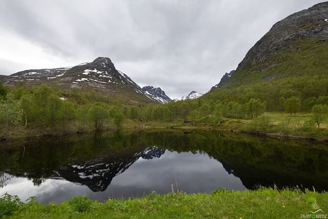 Norwegian Fjords Small Group Tour