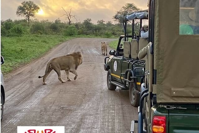 All Inclusive 2 Day Kruger Safari from Nelspruit
