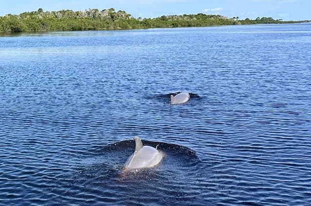 Coastal Discovery Cruise