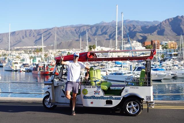 Secret Volcano Tuk Tuk Tour: Tenerife & Adeje