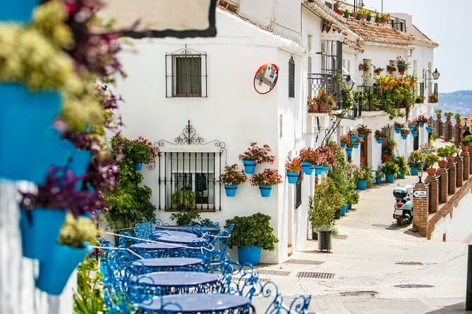 Costa del Sol Birding Tour