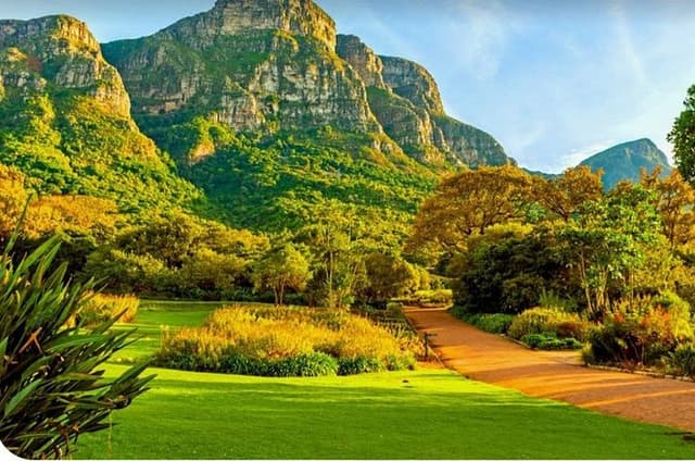 Table Mountain Kirstenbosch World of Birds,Diamond Factory incl