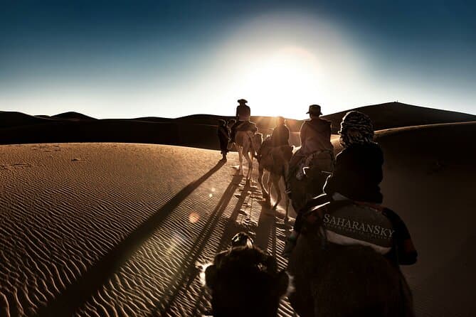 Authentic Sahara Adventures: Douz Desert Camp Experience