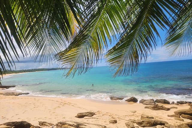 El Yunque & Beach Tour: Waterslide, Waterfall, Food, & Photos