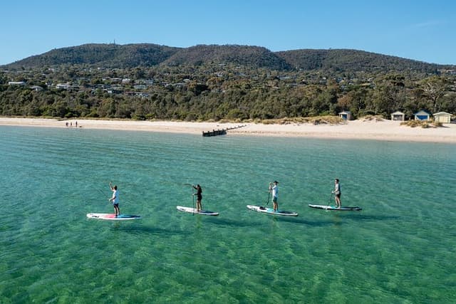Ultimate Peninsula Adventure: Stand Up Paddle, Hot Springs, Hike, Lunch & Winery