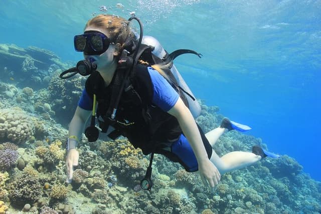 Tiran Island Full Day Snorkeling Sea Trip & intro dive 15 min - Sharm El Sheikh