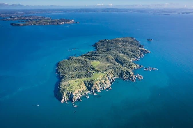 Tiritiri Matangi Island Day Trips from Auckland