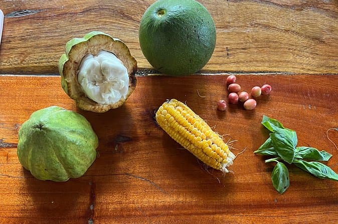 Best Organic Farm Tours in La Fortuna