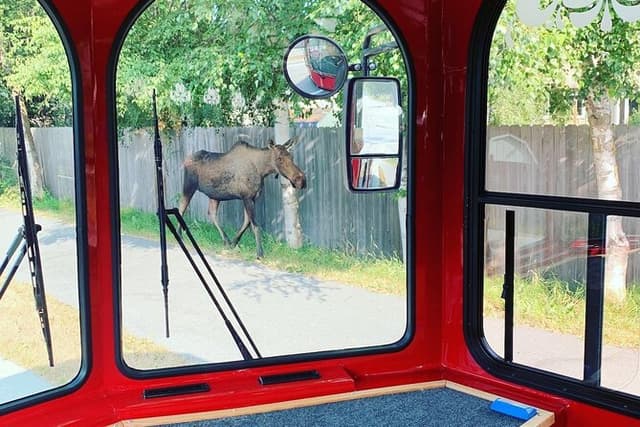 Anchorage Trolley's 1-Hour City Tour