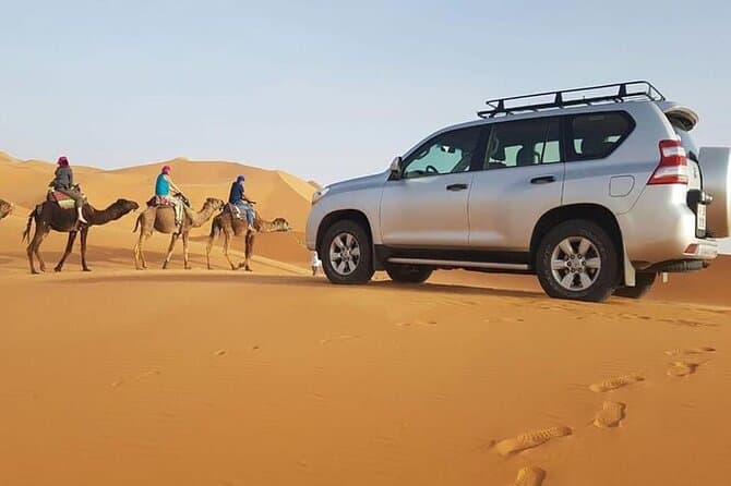 Best Sahara Desert Day Trips from Agadir: Book Now