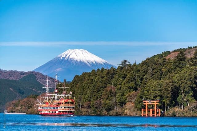 Mt Fuji or Hakone Private Day Tour