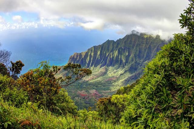 Kauai Island Private Guided Tour-Waimea Canyon from Princeville