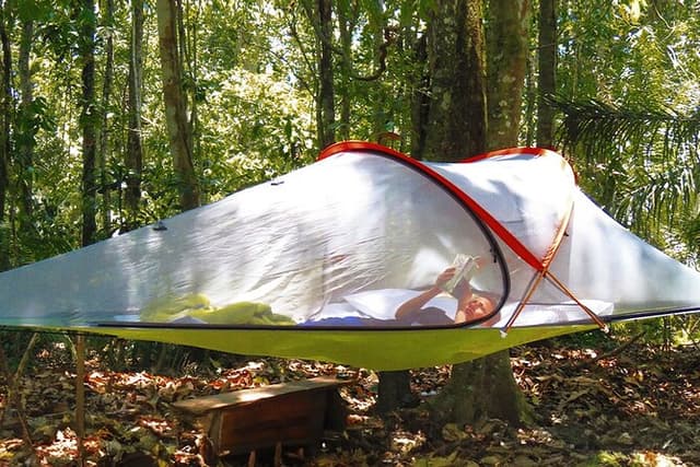 Bolivian Amazon: 3 days, Madidi Nat. Park with treetents