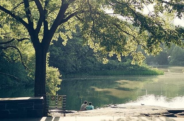 Capture NYC Personalized Photo Tours with a Local Expert