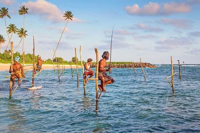 Day trips to Galle from colombo Visiting Its Highlights