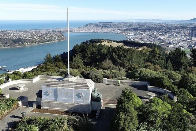 Guided Dunedin City & Otago Peninsula Small Group Tour (Max 10)