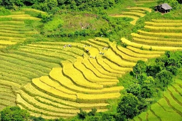 Sapa Motorbike Tour: O Quy HO Pass, Waterfall, Cat Cat Village