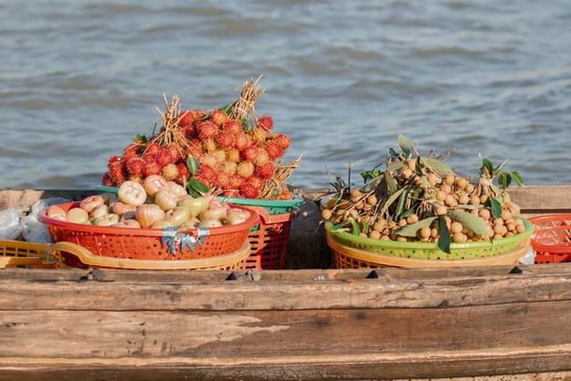 Can Tho Floating Market and Fruit Garden Tour