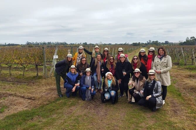 Best Montevideo Wine Tasting & Vineyard Tours
