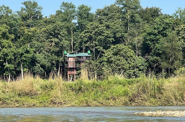 2Night 3Day Chitwan Jungle Tower Night Stay and CNP Nepal Safari