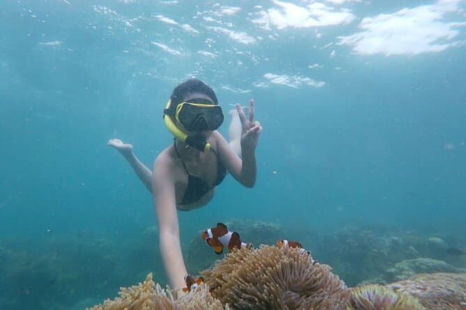 Best Snorkeling Adventures in Lagoi, Bintan