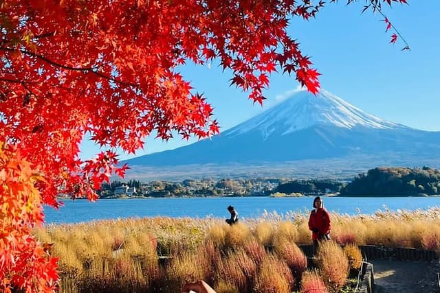 Mt Fuji & Hakone Customizable Private Tour with English Driver