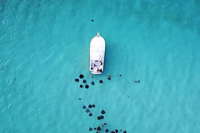 Private Charter 34ft Express Cruiser Stingay City Reef Snorkeling